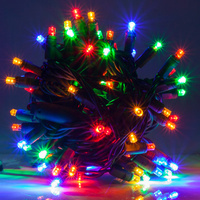 LED Christmas Lights